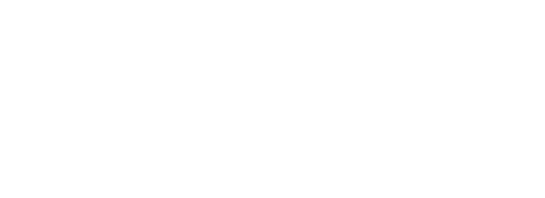 Website Footer Logo
